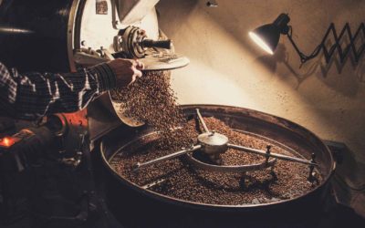 Qué es la curva de tueste y que ocurre en cada fase