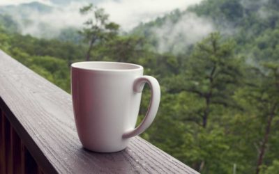 ¿En qué se parecen el barismo, los viajes y la felicidad? ¿O serán uno solo?