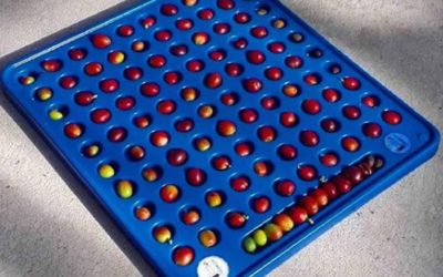 El Cerezometro la herramienta que permite mejorar los procesos de cosecha del café